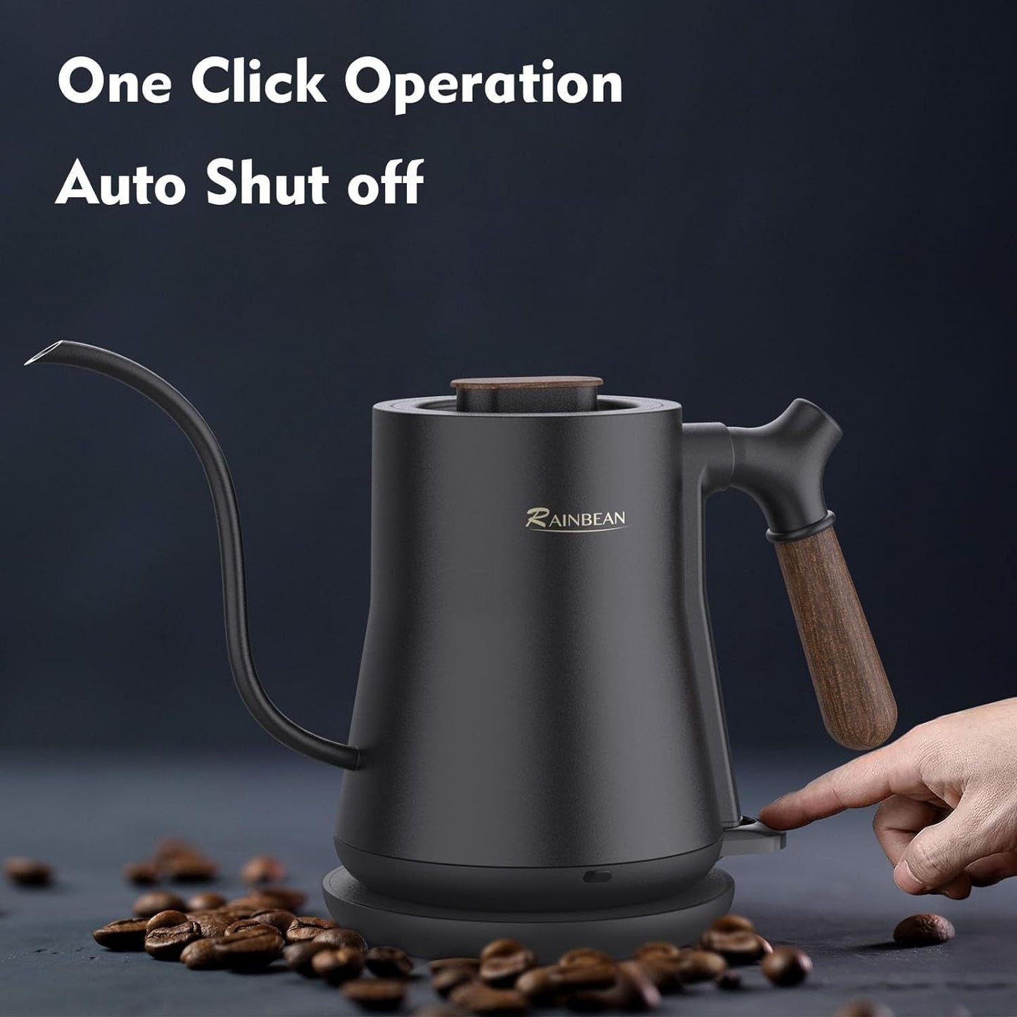 Stainless Steel Gooseneck Electric Kettle Auto Shutoff